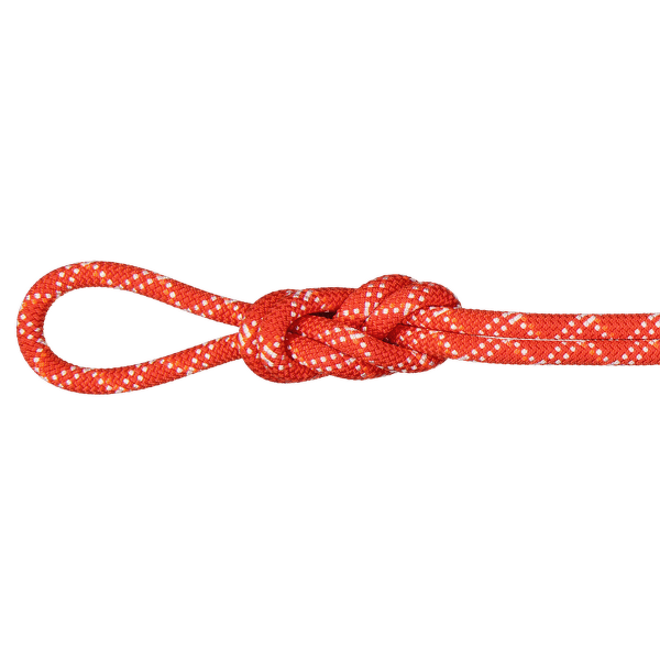 Lina Mammut 9.5 Gym Classic Rope 3790 raspberry-white