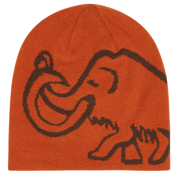 Czapki Mammut Mammut Logo Beanie Reversible autumn larice-soil
