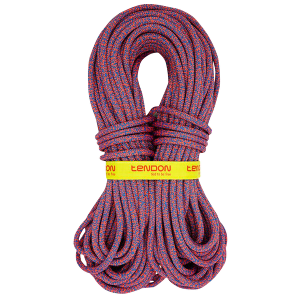 Lina Tendon Anniversal 9,5 - Complete shield Orange-Blue