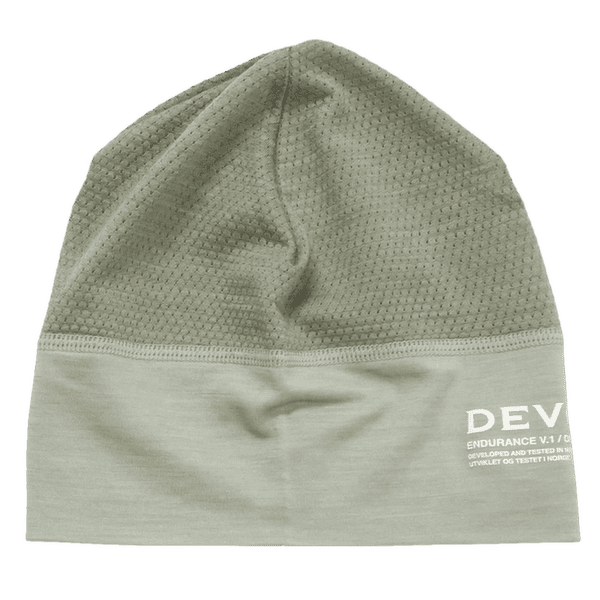 Czapki Devold Endurance Merino Light Beanice FOG