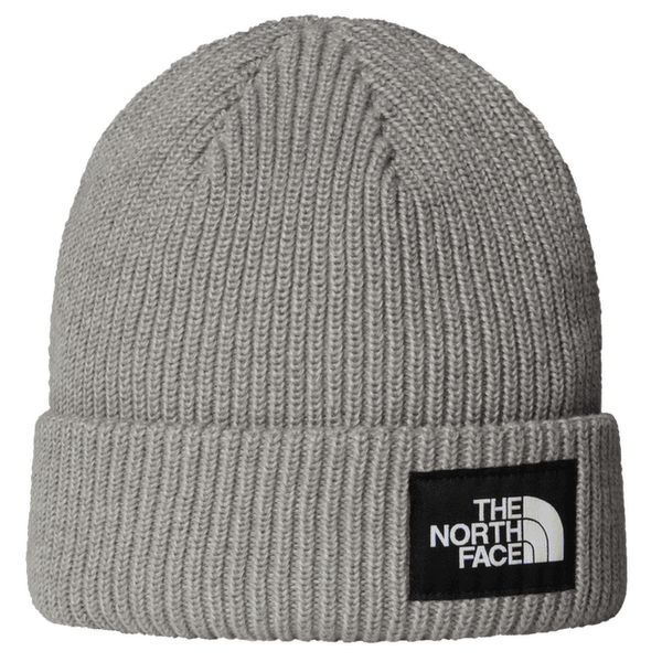 Czapki The North Face SALTY LINED BEANIE TNFLIGHTGREYHTR