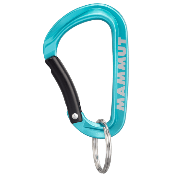 Karabinek wspinaczkowy Mammut Mini Carabiner Classic Keylock S blue 5018