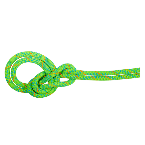 Lina Mammut 9.5 Crag Eco Dry Rope 40315 neon green-ocean