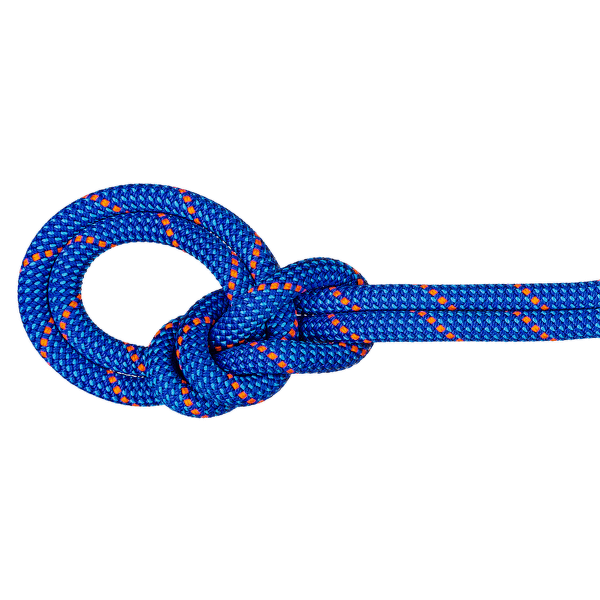 Lina Mammut 9.5 Crag Dry Rope 50624 blue-ocean