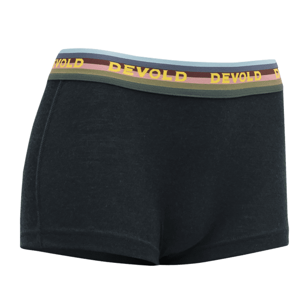 Majtki Devold Lauparen Merino 190 Hipster Women 284A INK