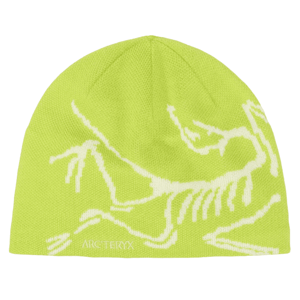 Czapki Arcteryx Bird Head Toque Mantis / Arctic Silk