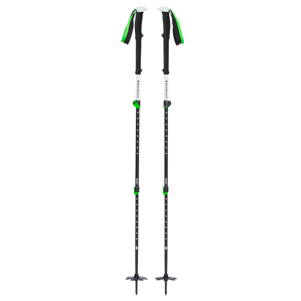Hole Black Diamond EXPEDITION 3 SKI POLES