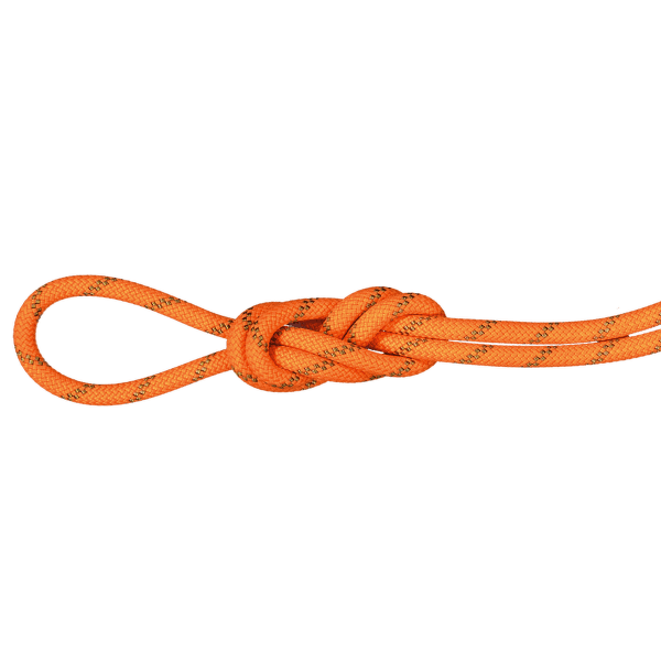 Lina Mammut 8.0 Alpine Dry Rope Safety orange-boa 11238