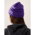 Czapki Arcteryx Bird Word Toque Alpine Rose / Bliss