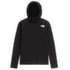 Kurtka The North Face SUMMIT FUTUREFLEECE FULL ZIP HOODIE WOMEN TNF BLACK