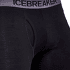 Bokserki Icebreaker Anatomica Boxers Men (103030) DK LODEN