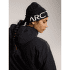 Czapki Arcteryx Word Head Toque Blk Sapphire / Alpine