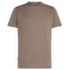 Koszulka z krótkim rękawem Icebreaker Merino 125 Cool-Lite Sphere III SS Tee Men PORCINI