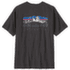 Koszulka z krótkim rękawem Patagonia FITZ ROY FOOTHILLS T-SHIRT Men Ink Black