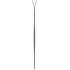 Narty Zag Skis UBAC 89 Lady BLUE