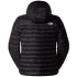 Bunda The North Face TERRA PEAK HOODIE Men TNF BLACK