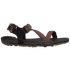 Z-Trail EV Men Multi-Brown
