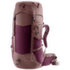 Futura Pro 34 SL cassis-ashrose
