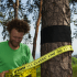 Slackline Gibbon TreeWear