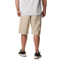 Szorty Columbia Silver Ridge™ Utility Cargo Short Men Tusk 221