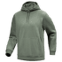 Emblem Fleece Hoody Men Forage