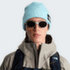 Czapki The North Face SALTY LINED BEANIE TNFLIGHTGREYHTR