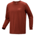 Koszulka z długim rękawem Arcteryx Arc´Multi Bird Logo LS Men Sequoia/Solaris