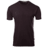 LightWool 180 Classic Tee Men Chocolate Plum