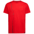 ROUTE T-SHIRT Men: Mountain Red