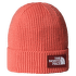 TNF LOGO BOX CUFFED BEANIE EED MARS DUST/SUMAC