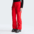 Spodnie The North Face DESCENDIT PANT Women NN4 GLACIER