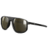 Okulary Julbo Ward