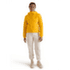 Kurtka Arcteryx Atom Hoody Women Pineberry