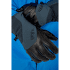 Rękawice Rab Khroma Freeride GTX Glove Black