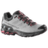 Ultra Raptor II Leather Wide GTX Women Cloud/Redwood