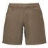 Notion Shorts Men Walnut