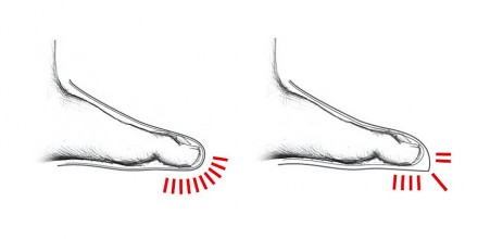 La Sportiva NO EDGE tlak